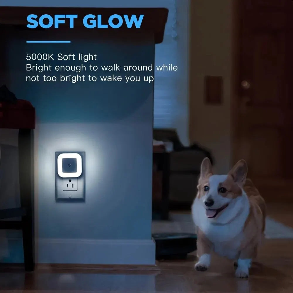 Plug in Night Light