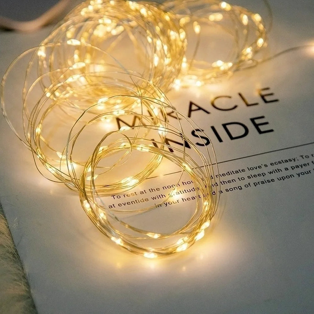 LitEgant LED String Lights Fairy Lights