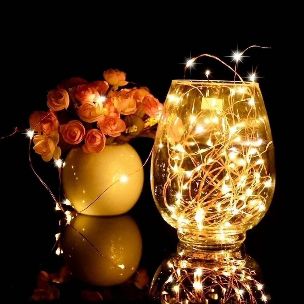LitEgant LED String Lights Fairy Lights