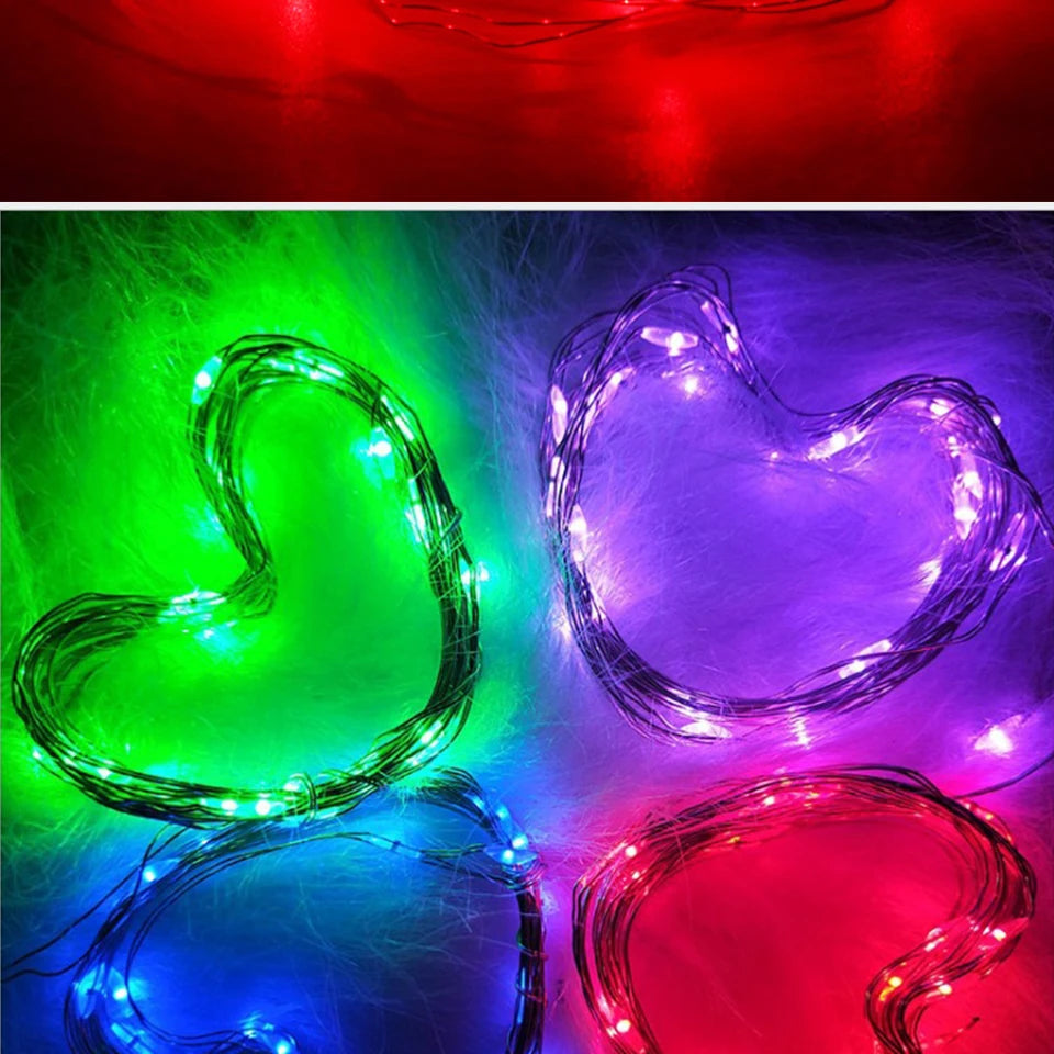 LitEgant LED String Lights Fairy Lights