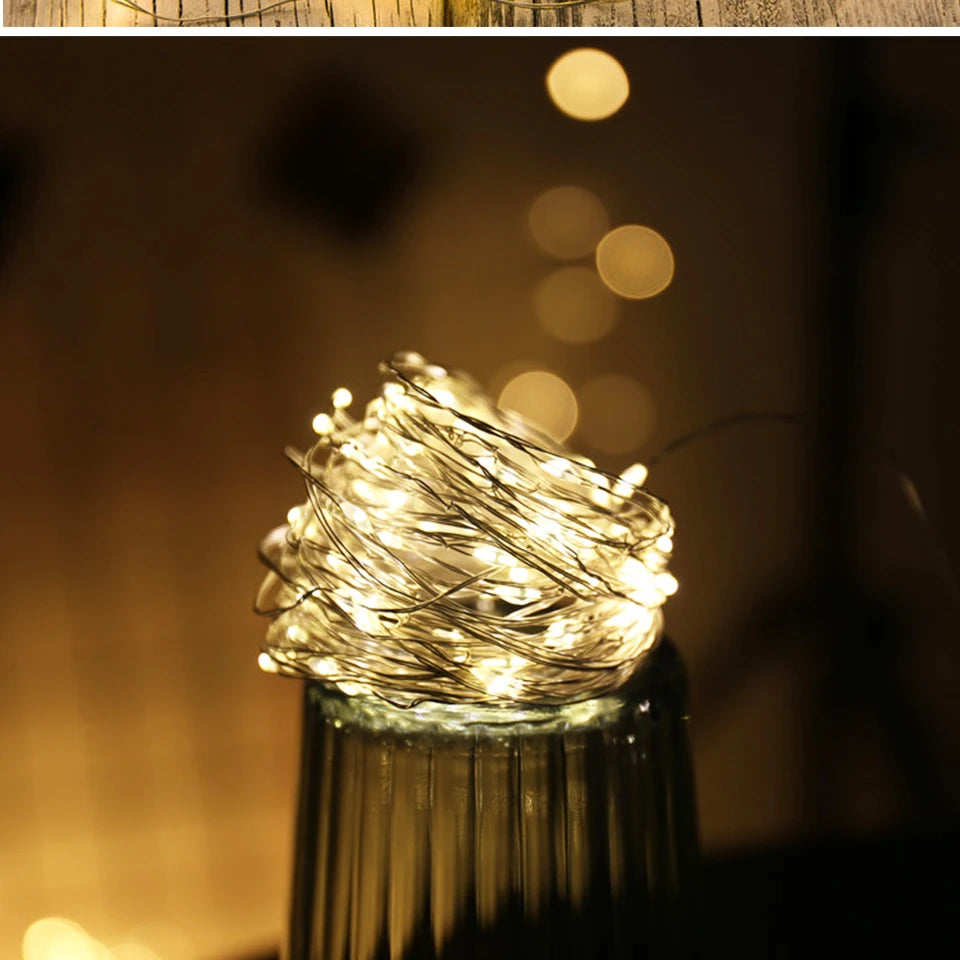 LitEgant LED String Lights Fairy Lights