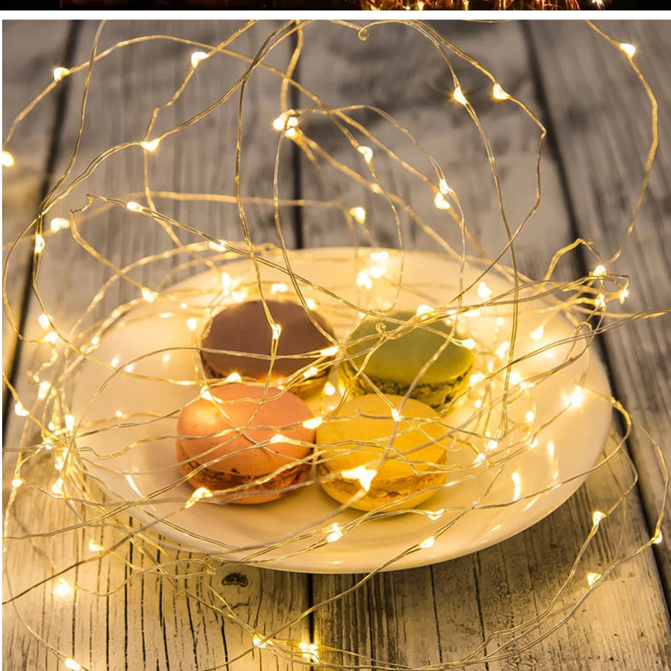 LitEgant LED String Lights Fairy Lights